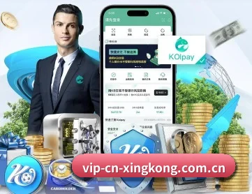 星空娱乐 APP 深度功能
